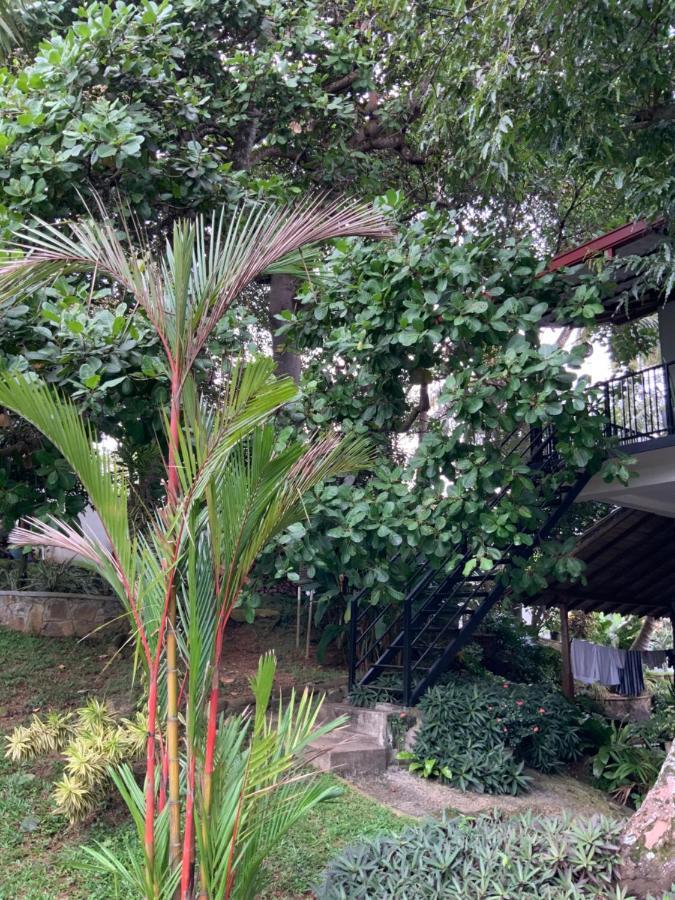 Lali Villa & Fruit Garden Galle Bagian luar foto