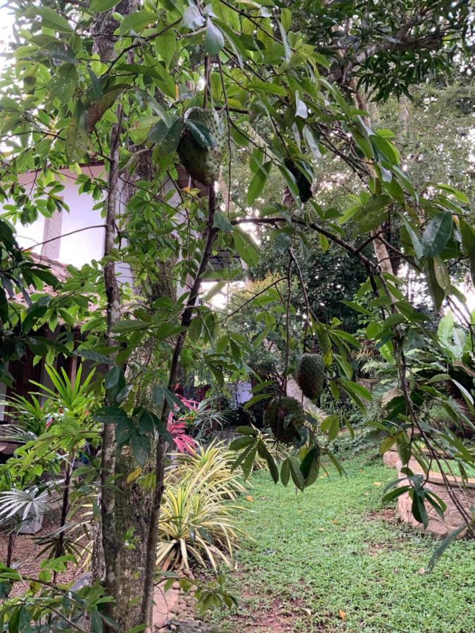 Lali Villa & Fruit Garden Galle Bagian luar foto