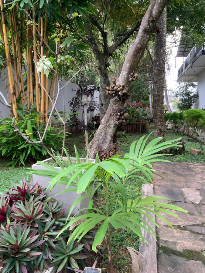 Lali Villa & Fruit Garden Galle Bagian luar foto