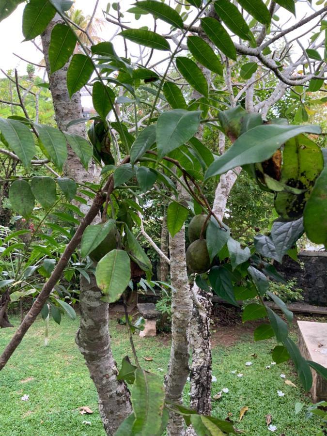 Lali Villa & Fruit Garden Galle Bagian luar foto