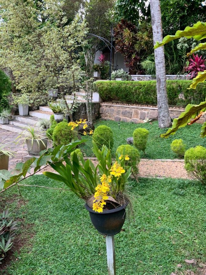 Lali Villa & Fruit Garden Galle Bagian luar foto