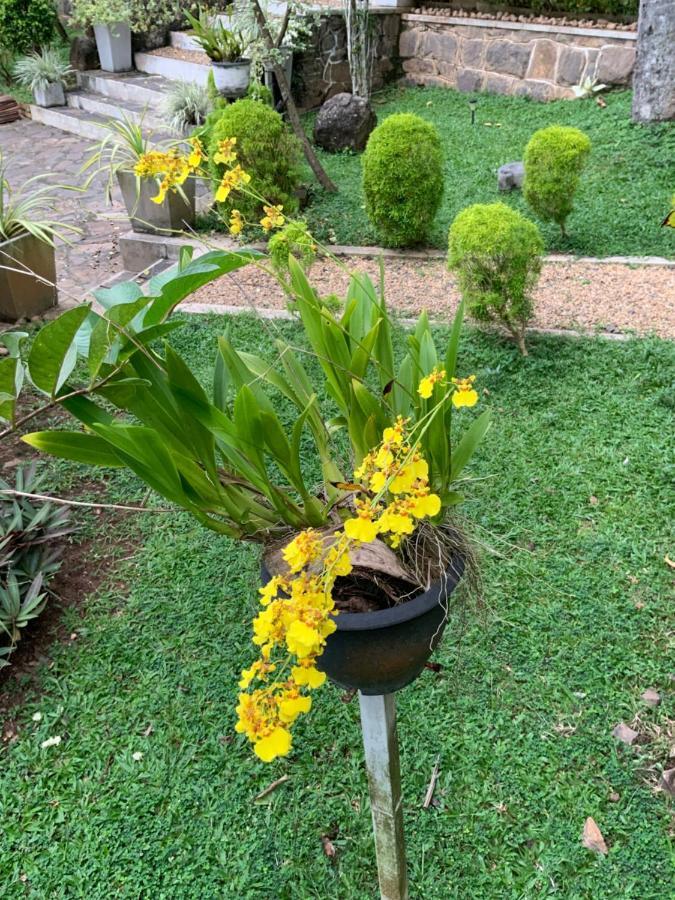 Lali Villa & Fruit Garden Galle Bagian luar foto