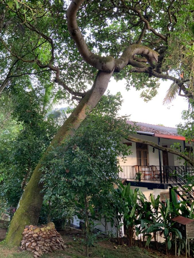 Lali Villa & Fruit Garden Galle Bagian luar foto