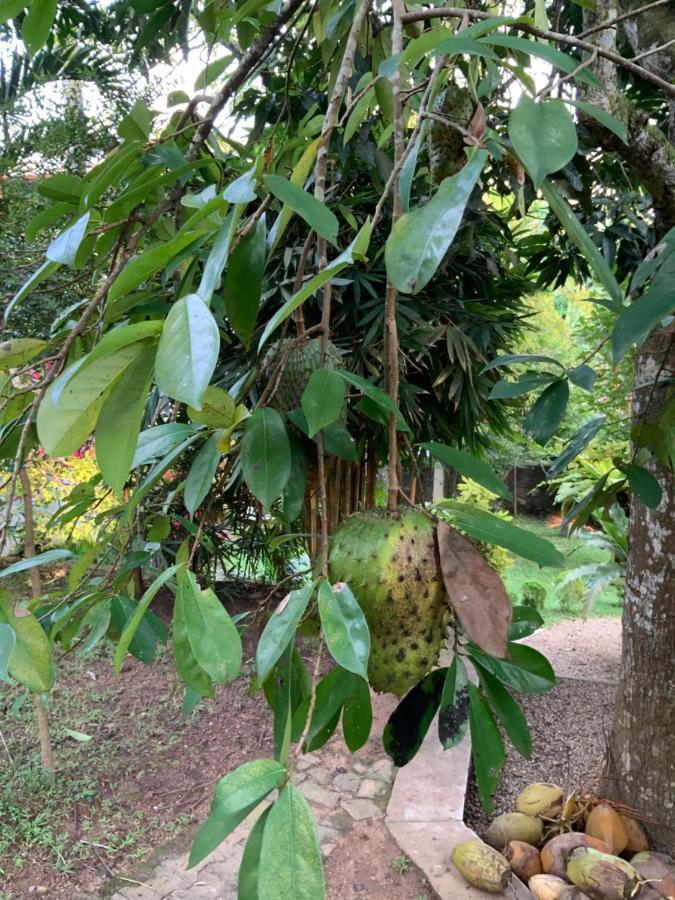 Lali Villa & Fruit Garden Galle Bagian luar foto
