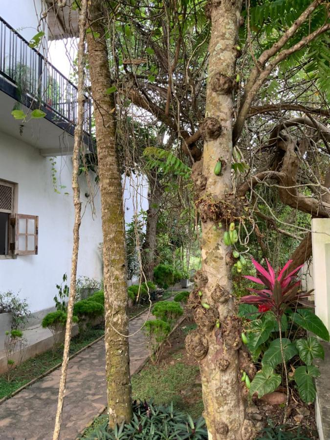 Lali Villa & Fruit Garden Galle Bagian luar foto
