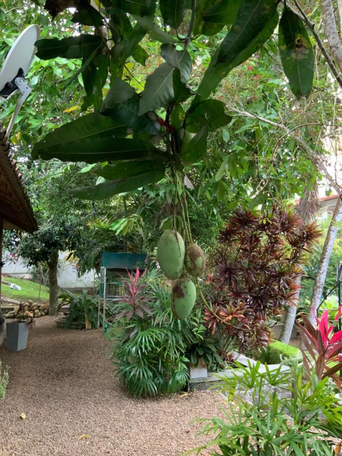 Lali Villa & Fruit Garden Galle Bagian luar foto